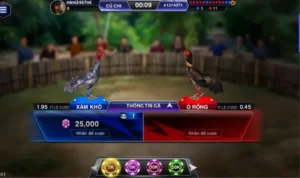 Đá Gà 3D tại BuBet